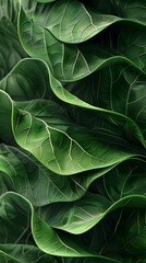 Vibrant Botanical Wallpaper with Dynamic Verdant Biomorphic Shapes and Contemporary Digital Art Styling