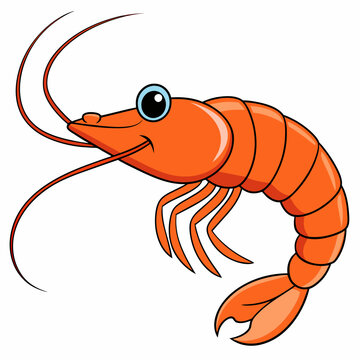 orange cartoon shrimp on white background clip art preview