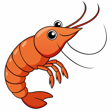 recommend clip art:  Shrimp with Sea Animals