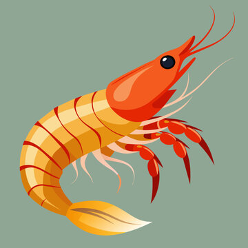 recommend clip art:  Shrimp with Sea Animals