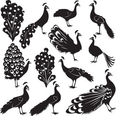 Set of Peacock black silhouette
