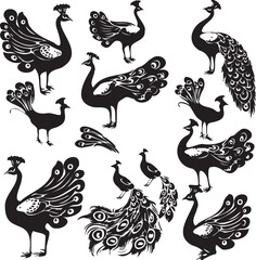 Naklejka premium Set of Peacock black silhouette