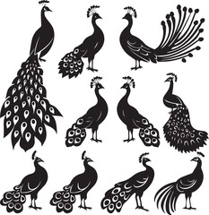Naklejka premium Set of Peacock black silhouette