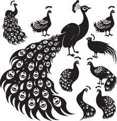 Naklejka premium Set of Peacock black silhouette
