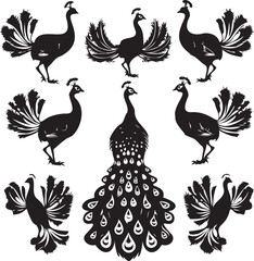 Set of Peacock black silhouette