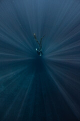 Snorkeling in the sea