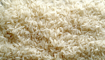 Rice texture background high quality texture