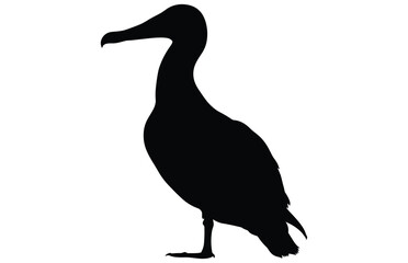 albatross silhouette , albatross silhouette black vector illustration 
