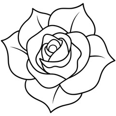 Set of hand drawn rose vector.