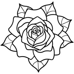 Set of hand drawn rose vector.