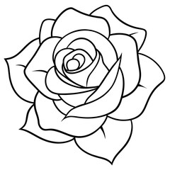 Set of hand drawn rose vector.