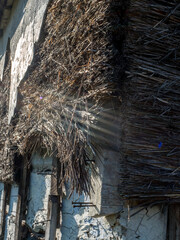 ocieplenie słomą ściany, strzecha  © Piotr