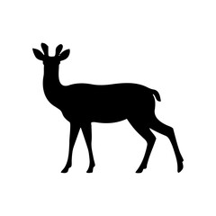 Fototapeta premium Vector silhouette of a deer in an elegant pose. simple design