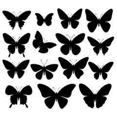 Many butterflies vector silhouette illustration