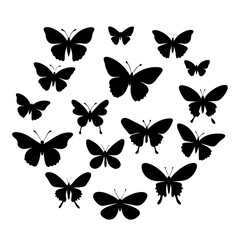 Many butterflies vector silhouette illustration