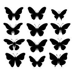 Many butterflies vector silhouette illustration