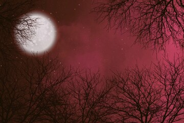 Fototapeta premium moon and tree