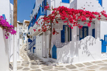 Traditional Cycladitic alley with a narrow street with a full blooming bougainvillea in Mykonos...
