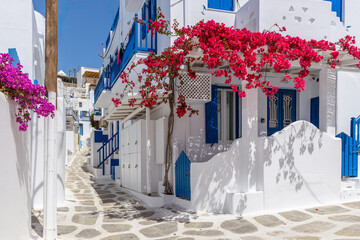Traditional Cycladitic alley with a narrow street with a full blooming bougainvillea in Mykonos island, cyclades, Greece
