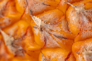 Orange peel of a ripe pineapple as an abstract background. Texture
