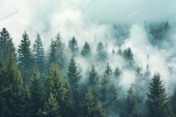 Fog in the misty mountains landscape with fir forest in hipster vintage retro style