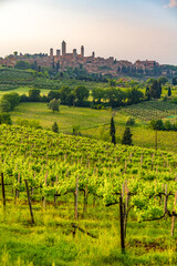 Fototapeta premium Medieval San Gimignano hill town with skyline of medieval towers, including the stone Torre Grossa. Province of Siena, Tuscany, Italy.