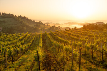 Fototapeta premium Medieval San Gimignano hill town with skyline of medieval towers, including the stone Torre Grossa. Province of Siena, Tuscany, Italy.