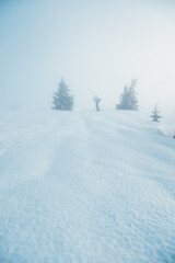 Mountaineer backcountry ski walking ski alpinist in the mountains. Ski touring in alpine landscape with snowy trees. Adventure winter sport. Low Tatras, slovakia