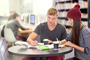 University, education and students studying for project, test or assignment in library on campus. Scholarship, knowledge and friends learning in college computer class with technology and information