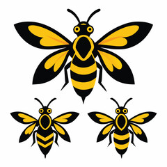 Set of Beewolf wasp vector on white background