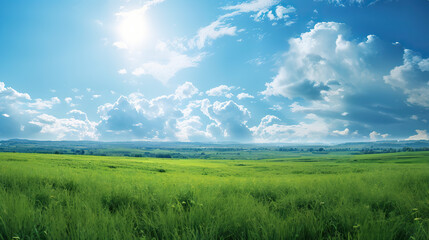 Obraz premium Green Field Sunshine over Blue Skies: Sunny Splendor Escape
