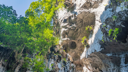 A fragment of a sheer limestone cliff. Caverns, furrows, and crevices are visible. There is green...