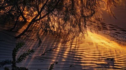 Desert dunes at sunset, dramatic shadows casting intriguing patterns