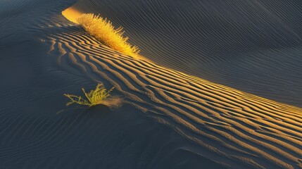 Desert dunes at sunset, dramatic shadows casting intriguing patterns