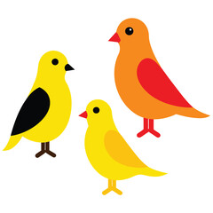 Set of Belgian Canary animal vector on white background