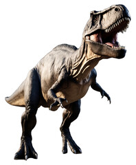 Fototapeta premium tyrannosaurus rex dinosaur