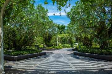 シンガポールのガーデンズ・バイ・ザ・ベイ
