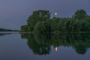 reflection of trees in the lake