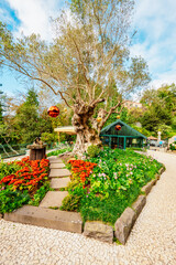 Monte Palace, Tropical Garden with Waterfalls, Lakes and traditional buildings above the city of Funchal