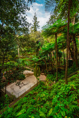 Monte Palace, Tropical Garden with Waterfalls, Lakes and traditional buildings above the city of Funchal