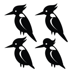 Set of Belted Kingfisher animal black vector on white background