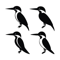 Set of Belted Kingfisher animal black vector on white background