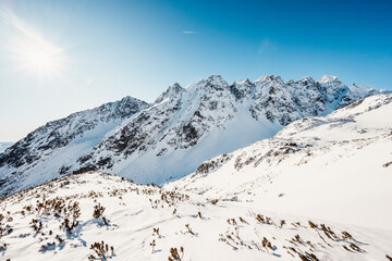 Alpine mountains landscape with white snow and blue sky. Sunset winter in nature. Frosty trees...