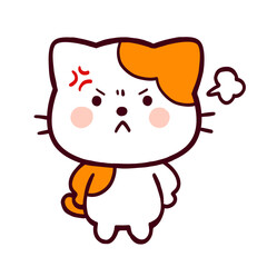 怒っているコミカルなネコ