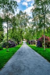 Hauptweg  zur Friedhofs-Kapelle in Mettmann