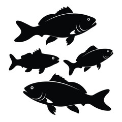 Set of Black Bass animal vector on white background