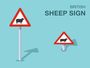 Traffic regulation rules. Isolated British "sheep" road sign. Front and top view. Flat vector illustration template.