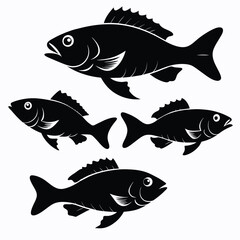 Set of Black Bass animal vector on white background