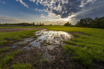 Sunset sky, spring evening landscape, soft sunlight on the grass. A large puddle in the middle of a...