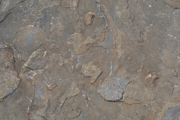 Stone texture worn by the wind and the sea of ​​the coast located on a wild beach.